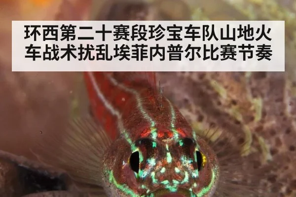 环西第二十赛段珍宝车队山地火车战术扰乱埃菲内普尔比赛节奏