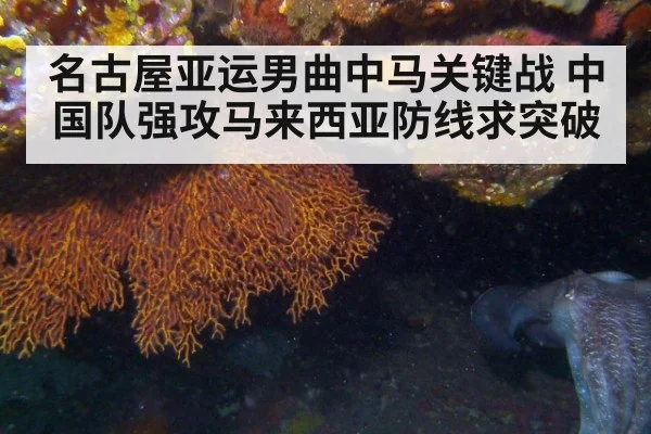 名古屋亚运男曲中马关键战 中国队强攻马来西亚防线求突破